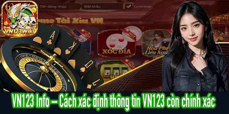 VN123 Info gợi ý cách kiểm tra thông tin VN123 chính xác